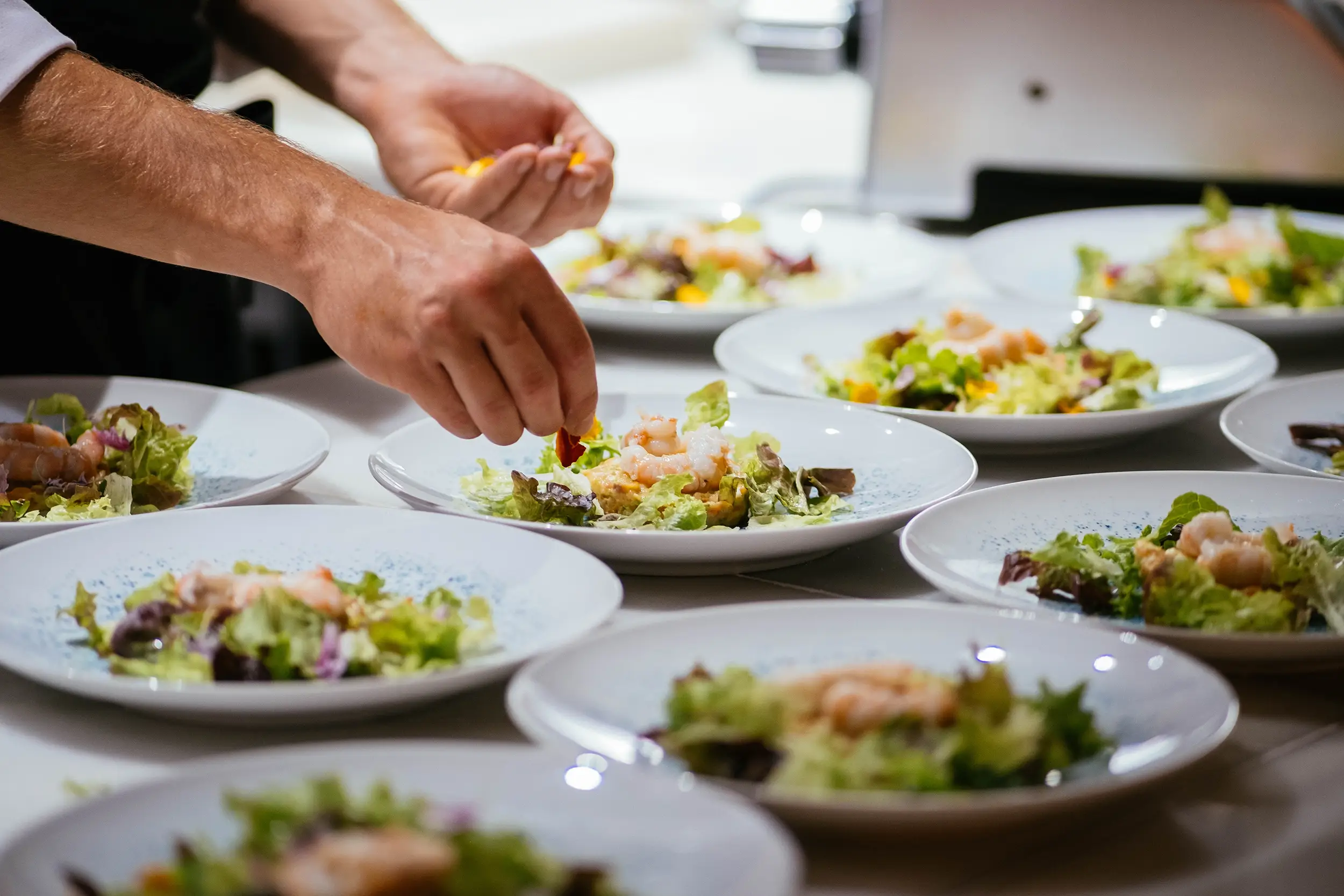 Hands meticulously garnishing fresh salads with shrimp, highlighting culinary excellence in a community dining setting.